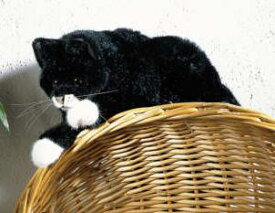 Kosen ケーセン ドイツ製 ぬいぐるみ ねそべり猫・黒（ ギフト プレゼント 誕生日 出産祝い 女の子 男の子 縫いぐるみ ねこ ネコ） 児童館