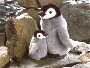 y݌ɂzKosen P[Z hCc ʂ cyM̎qi Mtg v[g a oYj ̎q j̎q D ؂񂬂j