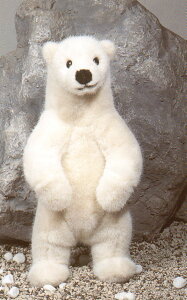 y݌ɂzKosen P[Z hCc ʂ N}iji Mtg v[g a oYj ̎q j̎q D  Fj