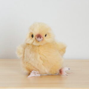 Kosen P[Z hCc ʂ Ђ悱 i Mtg v[g a oYj ̎q j̎q D Ƃj