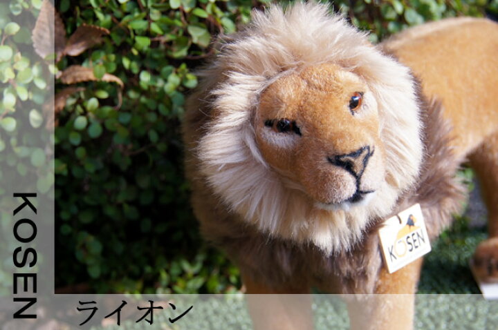 楽天市場】Kosen ケーセン ドイツ製 ぬいぐるみ おすライオン（ ギフト  