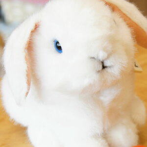 【在庫あり】Kosen ケーセン ドイツ製 ぬいぐるみ たれ耳うさぎの子 白( ギフト プレゼント 誕生日 出産祝い 女の子 男の子 縫いぐるみ ウサギ)