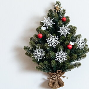 Ǌ|NX}Xc[񂲂̃I[igZbg RS GLOBAL TRADE ̐i1j񂲏i3j[Xi6jRSO[og[h V@c@gc[ PLASTIFLOR  k xma