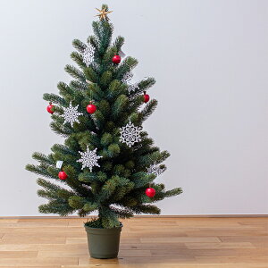 y|Cg10{!11/28`12/4 9:59z2025N RS GLOBAL TRADE 90cm NX}Xc[ 񂲂̃I[igZbgi񂲁j ̐i1j[Xi6j񂲏i6j RSO[og[h V