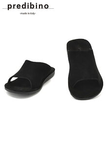 vfBr[m@@PREDIBINO Xbp^T_ Y XG[hU[ VvfUC 1022f ubN  o[\[ C^A INebg