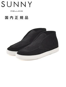 y[R Tj[@@PELLICO SUNNY `bJV[Y Y BARTEX M007 XG[hU[ ubN  2.5cm\[ U`bv Ki łł uh