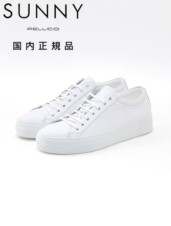 楽天市場】ペリーコ サニー PELLICO SUNNY スニーカー メンズ スムース  
