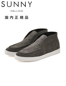 y[R Tj[@@PELLICO SUNNY `bJV[Y Y BARTEX M007 XG[hU[ O[ 2.5cm\[ U`bv Ki łł uh