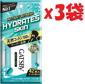 3܃Zbg GATSBY Mcr[ tFCVy[p[ CXg^Cv p 42 2F-L