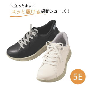 ���Ƃ肦OKADA 5E���ۗ����R���t�H�[�g�V���[�Y