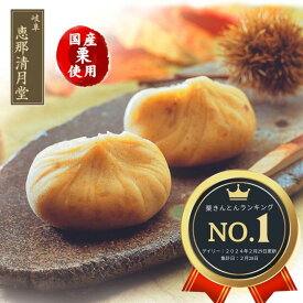 【季節限定商品】栗きんとん 岐阜 恵那清月堂 お歳暮 TVで紹介 日持ち和菓子 通販 季節限定 木曽路 栗 マロン くり クリ 栗金団 岐阜県 プレゼント ギフト スイーツ 和菓子 常温 美味しい おいしい 友達 母 父 生協 取寄せ 手土産