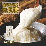 鹿児島県産 自然薯とろろ 40g×15袋
