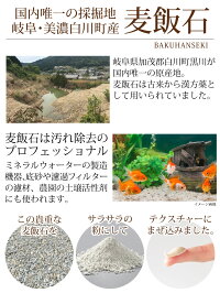 麦飯石のもち泡洗顔(PB)ばくはんせき岐阜の美濃白川の麦飯石のパウダーで毛穴の汚れしっかり吸着あわ洗顔