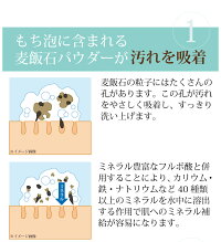 麦飯石のもち泡洗顔(PB)ばくはんせき岐阜の美濃白川の麦飯石のパウダーで毛穴の汚れしっかり吸着あわ洗顔