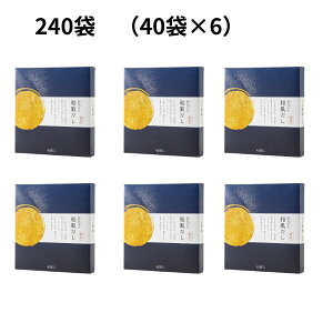 _ yVSALE|Cg10{ ^̘a j[A  TVŏЉ o`  pbN Mtg h{  a a  z Ԃ Hi Ă 