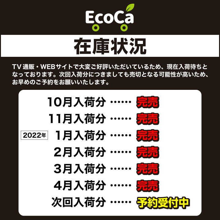 楽天市場 ランキング1位 Ecoca エコカ ショッピングカート 折りたたみ 4輪 カート マイバッグ セット おしゃれ 静音 軽量 高齢者 買い物 カート 折りたたみカート 大容量 荷物カート 荷物運び アウトドア 前押し お買い物 コンパクト 母の日 誕生日 プレゼント