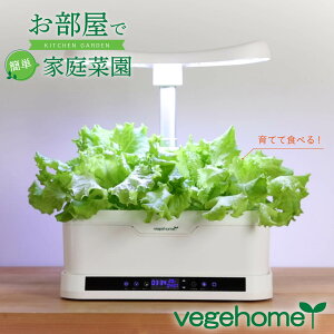 yŊȒP ƒ؉z ĂĐHׂ vegehome xWz[ {Zbg ƒ͔| 낢  ͔| k͔| Lbg  ~jg}g fBbV n[u t ~g oW O[ 