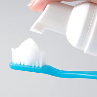 バクテクリン歯ブラシ専用除菌フォーム30ml(PB)