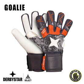 【公式】DERBYSTAR ダービースター キーパーグローブ GOALIE GKグローブ ゴールキーパー キーパー グローブ キーグロ サッカー