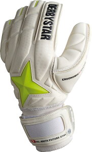 yzDERBYSTAR _[r[X^[ L[p[O[u APS WHITE FUTURE STAR GKO[u S[L[p[ L[p[ O[u L[O TbJ[