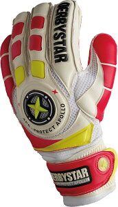 yzDERBYSTAR _[r[X^[ L[p[O[u APS PROTECT APOLLO PRO GKO[u S[L[p[ L[p[ O[u L[O TbJ[