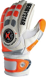 yzDERBYSTAR _[r[X^[ L[p[O[u APS PROTECT APOLLO GKO[u S[L[p[ L[p[ O[u L[O TbJ[