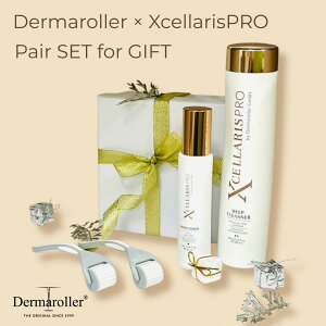 yDermaroller GmbH KizyAZbg _[}[[HC902 NX}XMtg }CNj[hO ێ tH[  GCWOPA ZtPA ɂѐ ьPA eI R[QU