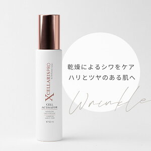 yDermaroller GmbH KizCA GNZXvV[Y  GCWOPA ɂѐ ьPA eI R[QU ZtPA tFCXp