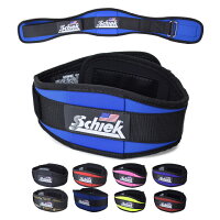 SCHIEKシークWorkoutBelt2004トレーニングベルトリフティングベルトウエイトリフティング筋トレ【西日本】