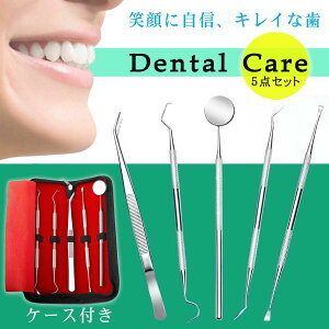 スケーラーの通販 価格比較 価格 Com