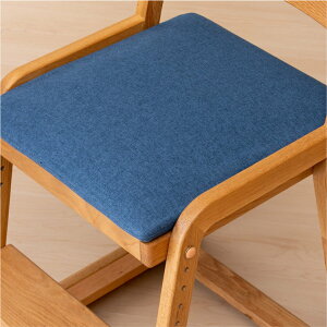 【COCOROチェア専用カバー】チェアカバー 単品 選べる 汚れ防止 ファブリック 座り心地 ぴったり ズレにくい ピンク ブルーグリーン 桃 青 緑 ISSEIKI COCORO