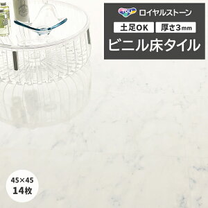 tH[ DIY rj^C  t[O ^C yOK i X ItBX Z p ^CRNV P^C CXg[ 450×450mm 14 rARJlI (