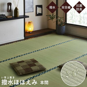 y10/26܂ŁN[|8%OFFzO  ~ ͂   ~ ėp Y J[ybg oڐD { O 3 3 191×286cm قق(I) z V yVX[p[SALE
