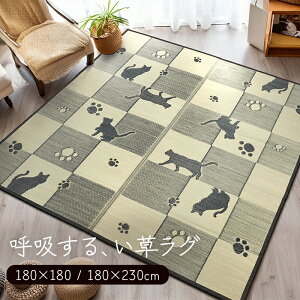  O }bg  C J[ybg hJr R  Rf ʕsDz 􂦂  ˂ L lR  `FbN a a a_ イ 180×180cm / 180×230cm O 