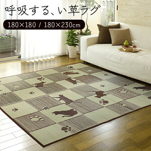  O }bg  C J[ybg ӂ hJr R  Rf ʕsDz E^  ˂ L lR  `FbN a a a_ イ 180×180cm / 180