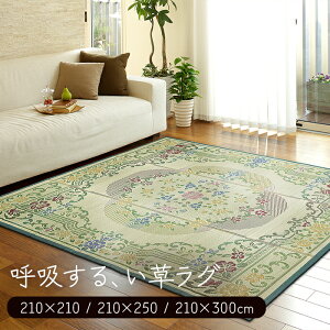  O }bg  C J[ybg hJr R  Rf ʕsDz 􂦂  ԕ t[  a a a_ イ 210×210cm / 210×250cm / 210×300cm 