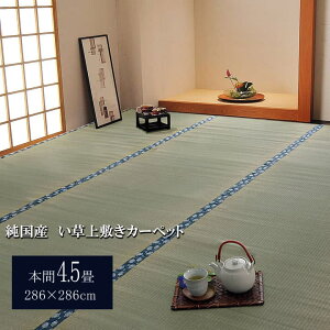 قق (I) Y  ~ J[ybg oڐD wقق݁x {4.5(286×286cmj