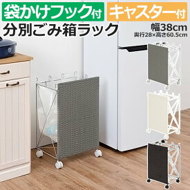 ゴミ箱 ごみ箱 ダストボックス おしゃれ ゴミ袋掛け ラック ワゴン 分別 目隠し カバー 省スペース 袋かけ フック付き キャスター付き 防水 ラタン調 シンプル ワイド 約幅38×奥行28×高さ60.5cm 分別ごみ箱ラック RUD-2423 (H) 引っ越し 新生活