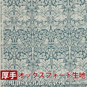 X | n IbNXtH[hn n 1mȏ 10cmP ؔ ̔ (10cm̉i) Morris uU[rbg 8211-24T (Y)  110cm u[ { ؂蔄 z 100 X ETM  