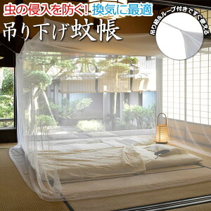 ᒠ  XL[glbg J 悯  艺^Cv bV  ėp  ʂ GAR悯 GR ߓd ^ 傫 6 TCY Ԃ qǂ  zCg Vv 