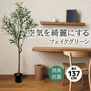 tFCNO[ ^ ϗtA tFCN  137cm A  t 傫 { R L h gݗĎ CTG} sv ][g 썑  65×s61×137cm