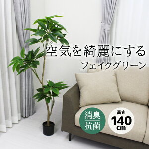 tFCNO[ ^ ϗtA tFCN  140cm A  t 傫 { R L h gݗĎ CTG} sv ][g 썑  100×s58×140c