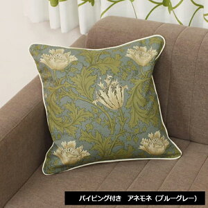 X Jo[t NbV tANbV 45×45cm NbVZbg gt k  Mtg 蕨 45×45cm X pCsOȂ/pCsO (Y) G { ` 