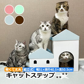 ペットハウス 猫ハウス 猫 お家 組立式 ハウス かわいい おしゃれ お城風 ねこ用 猫グッズ 猫ベッド 猫部屋 インスタ映え 北欧 雑貨 軽量 クラフト 紙 段ボール キャットステップ KCS (R) ピンク グリーン ライトブルー ブラウン 引っ越し 新生活