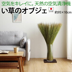 ϗtA  IuWF CeA u { L C  i` ȒP  u  C 95×10cm ̂ (I) z V
