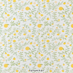 ӂ܎ a_ k _  a a IV a CN AW  DIY ւ a CeA tH[ Wp_ g 1 { 񍂂220×100cm wacc