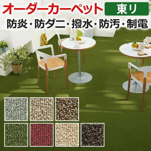 オーダーカーペット フリーカット 東リ 防炎 防ダニ 制電 抗菌 防ダニ 防炎 防汚 遊び毛なし ナイロン 業務用 グレース 約200×100cm 以下で サイズオーダー フリーカット 引っ越し 新生活