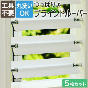 uCh ς莮 uCh[o[   Hsv OK JȂ Trɂ g 40`55cmɑΉ ^Cv40/^Cv45/^Cv50 5Zbg Tsuppalouva cbp[o (CO