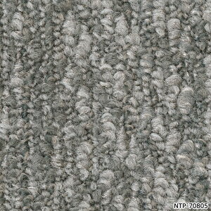 �^�C���J�[�y�b�g ���{�� �h�� �h�� ���d �p�l���J�[�y�b�g ��50×50cm 20������ �V�t�H���v���[�� D NTP-7080 D-eco (R) CHIFFON PLAIN �_�u���G�R ���K�i �h�� ���� DIY �͗l�ւ� �����z�� �V����