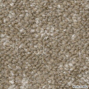 �^�C���J�[�y�b�g ���{�� �h�� �h�� ���d �p�l���J�[�y�b�g ��50×50cm 20������ �C���~�i�A�[�X D NTH-7140 D-eco (R) ILLUMINA EARTH ���K�i �h�� ���� DIY �͗l�ւ� �����z�� �V����